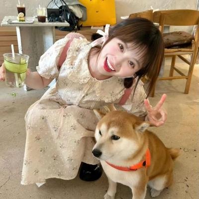 理想家